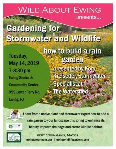 Gardening for Stormwater and Wildlife: how to build a rain garden